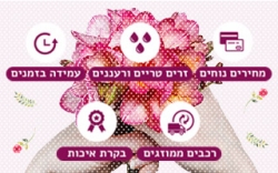 זרי פרחים בקופסא